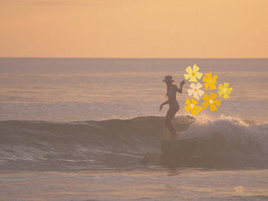 Sunset Costa - Surfy Birdy - ALOKA SURF STUDIO